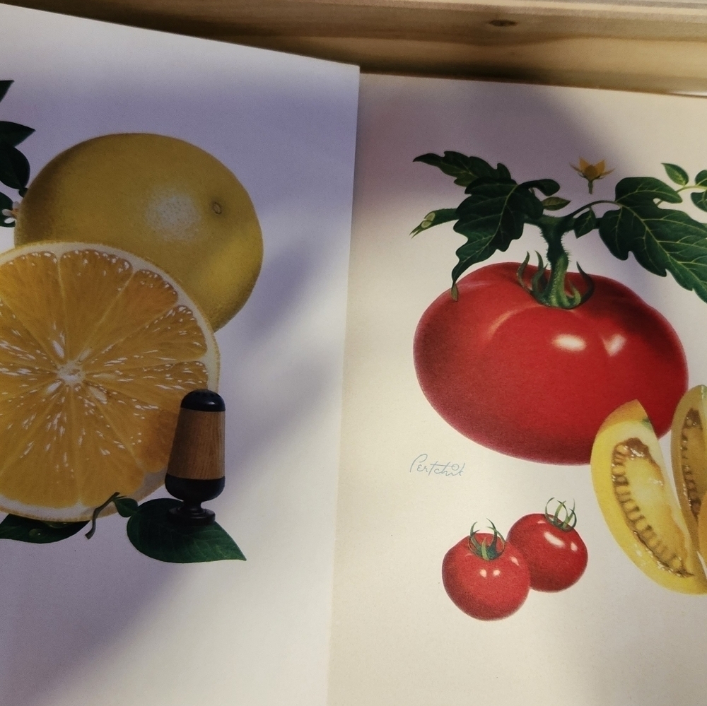 Midcentury Morton Salt Ads, Harriet Pertchik, Vintage Fruit Artwork 4-Pieces